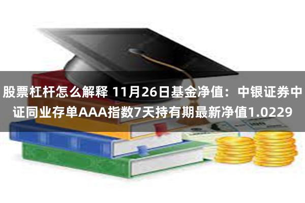 股票杠杆怎么解释 11月26日基金净值：中银证券中证同业存单AAA指数7天持有期最新净值1.0229