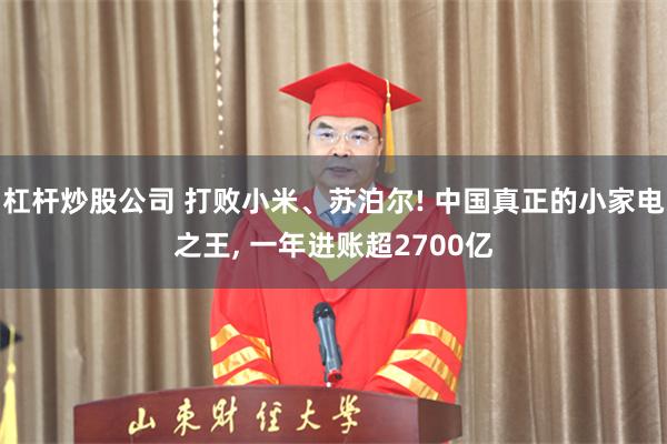 杠杆炒股公司 打败小米、苏泊尔! 中国真正的小家电之王, 一年进账超2700亿