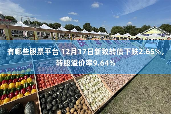 有哪些股票平台 12月17日新致转债下跌2.65%，转股溢价率9.64%