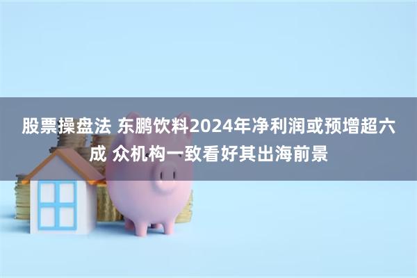 股票操盘法 东鹏饮料2024年净利润或预增超六成 众机构一致看好其出海前景