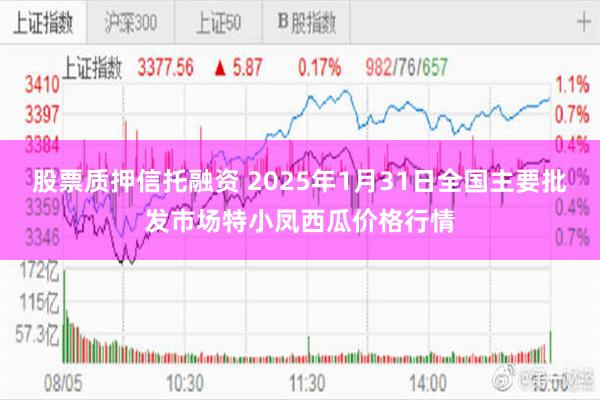 股票质押信托融资 2025年1月31日全国主要批发市场特小凤西瓜价格行情