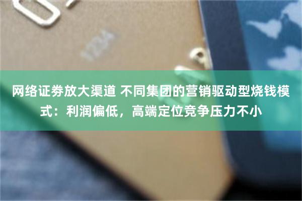 网络证劵放大渠道 不同集团的营销驱动型烧钱模式：利润偏低，高端定位竞争压力不小