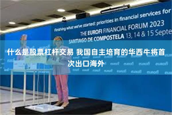 什么是股票杠杆交易 我国自主培育的华西牛将首次出口海外