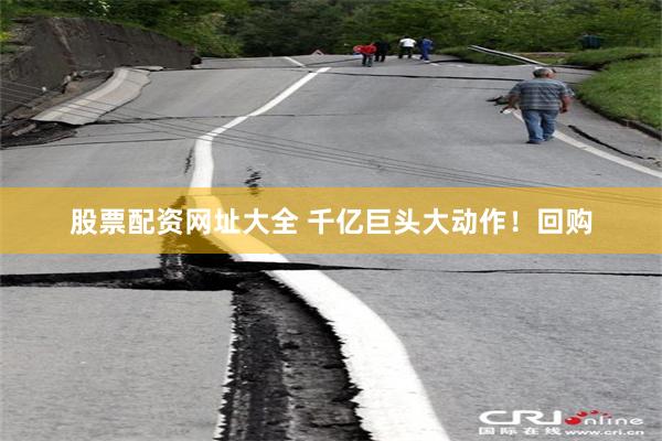 股票配资网址大全 千亿巨头大动作！回购