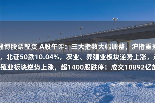 淄博股票配资 A股午评：三大指数大幅调整，沪指重挫6.34%创指跌9.74%，北证50跌10.04%，农业、养殖业板块逆势上涨，超1400股跌停！成交10892亿放量3429亿