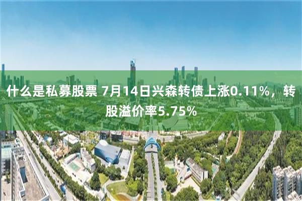 什么是私募股票 7月14日兴森转债上涨0.11%，转股溢价率5.75%