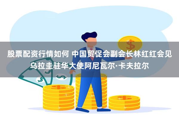 股票配资行情如何 中国贸促会副会长林红红会见乌拉圭驻华大使阿尼瓦尔·卡夫拉尔