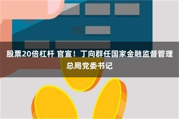 股票20倍杠杆 官宣！丁向群任国家金融监督管理总局党委书记