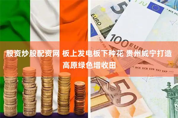 股资炒股配资网 板上发电板下种花 贵州威宁打造高原绿色增收田