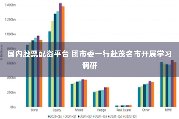 国内股票配资平台 团市委一行赴茂名市开展学习调研